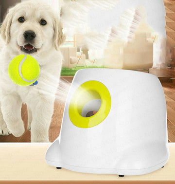 Dog Fetchic Automatic Interactive Ball Launcher