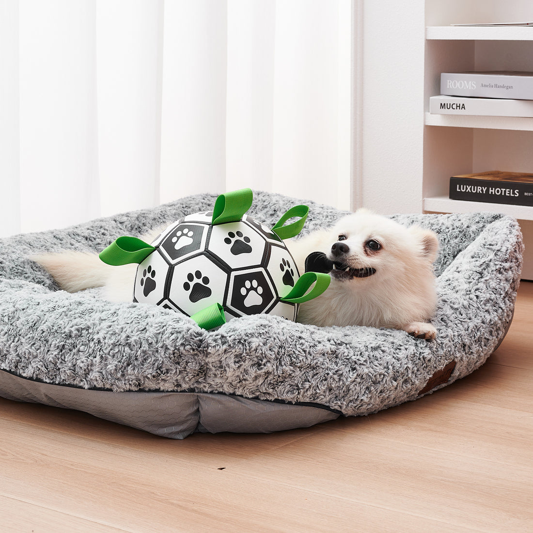 Interactive Dog Football Toy Soccer Ball Inflated Training Toy For Dogs