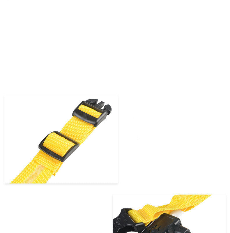 Nylon LED Fetchic Dog Luminous Collar Night Safety Flashing Glow in Dark Dog Cat Leash Adjustable Pet Supplies