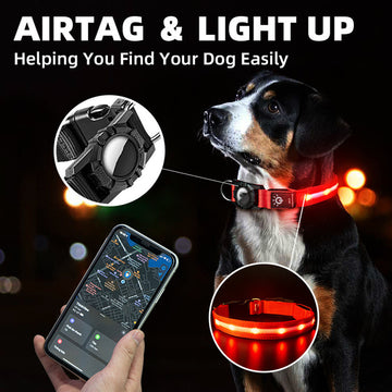 Suitable For Locator Waterproof Fetchic Collar