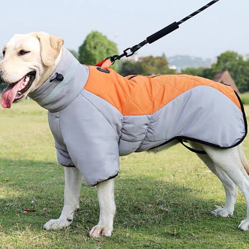 New Winter Dog Coat Waterproof Fetchic Clothes